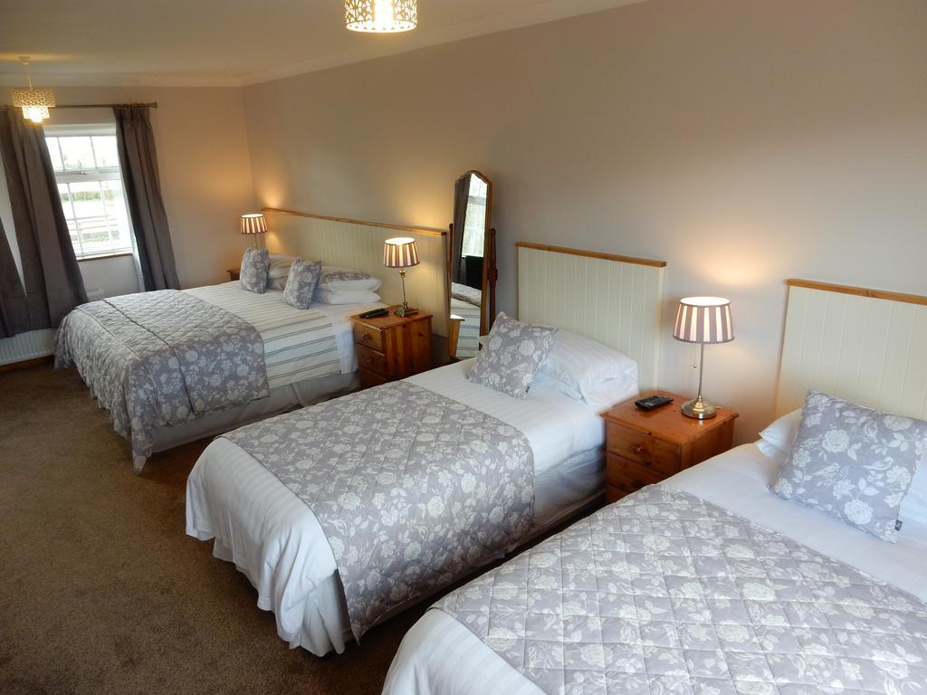Auburndale B&B Килкенни Экстерьер фото